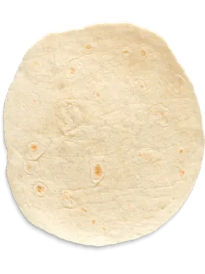 large tortilla wrap of the day