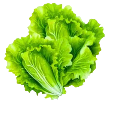 lettuce mcdonalds