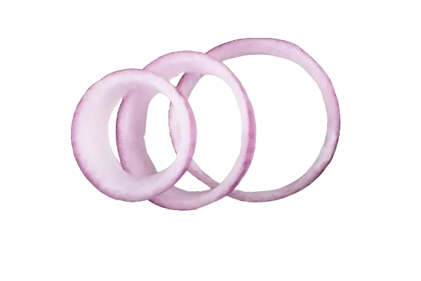 onion rings
